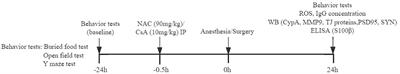 Reactive oxygen species contribute to delirium-like behavior by activating CypA/MMP9 signaling and inducing blood-brain barrier impairment in aged mice following anesthesia and surgery